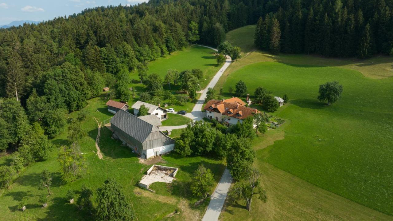 Eco Tourist Farm Ravnjak Slovenj Gradec Buitenkant foto